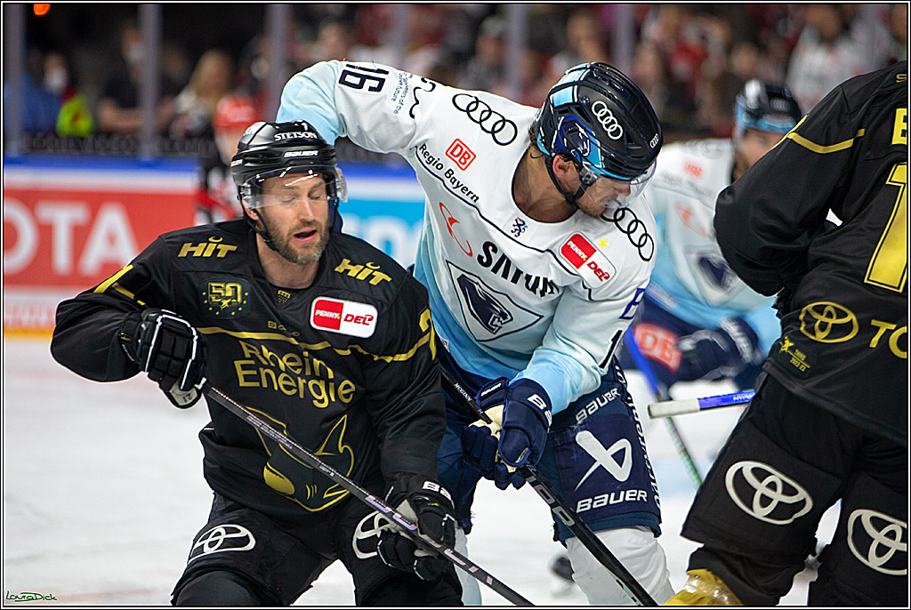 PENNY DEL;  Kölner Haie - ERC Ingolstadt; Köln, 25.11.2022